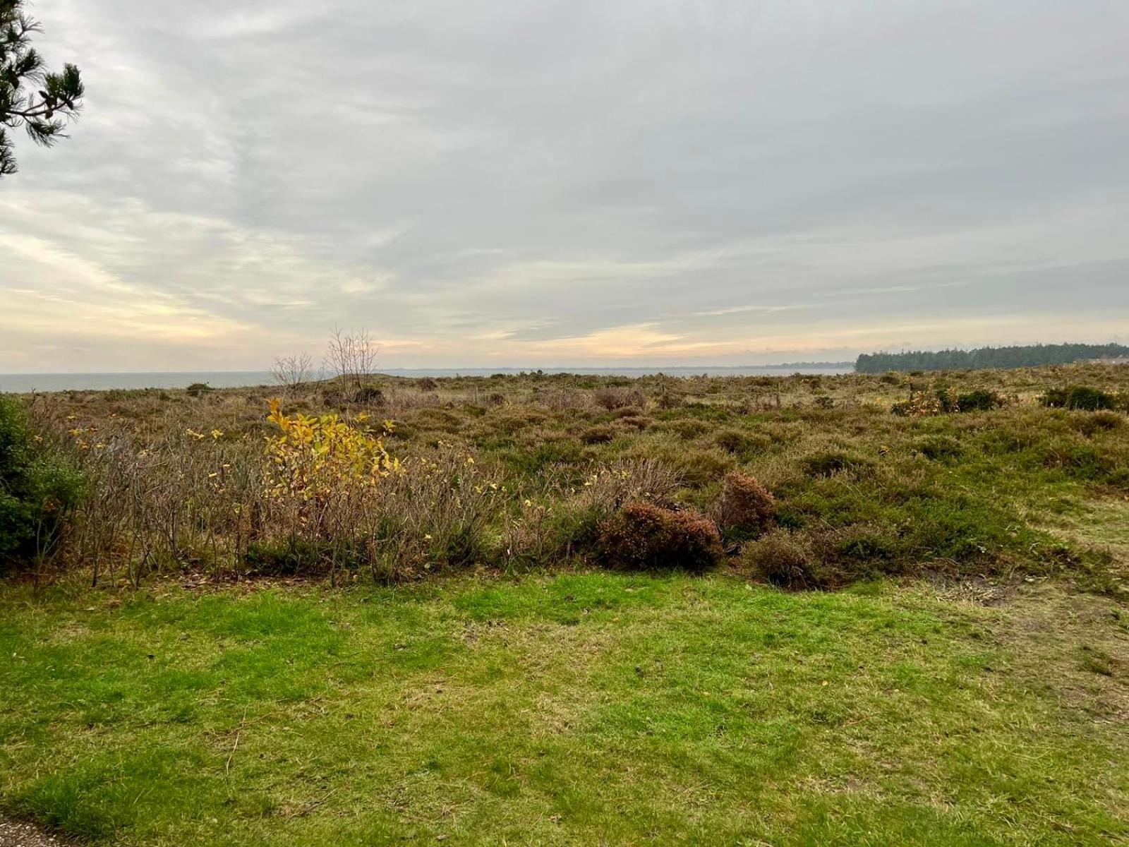 Soenshoern 26, Whg. 5 Wattblick - Sylt / Apartment Munkmarsch
